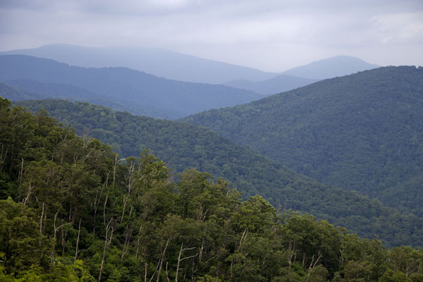 Picture of Rolling hills seen from the Skyline Drive