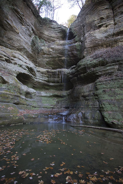 Picture of Starved Rock (United States): Waterfall coming down from the cliffs at the end of Wildcat Canyon