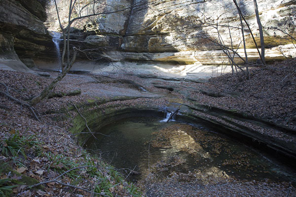 Picture of Starved Rock (United States): LaSalle Canyon with waterfall and pool