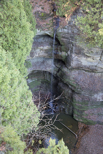 Picture of Starved Rock (United States): Wildcat Canyon waterfall seen from above