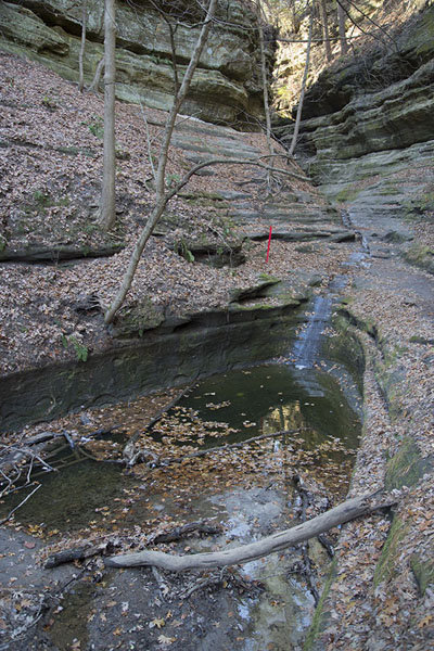 Picture of Starved Rock (United States): French Canyon seen from the entrance