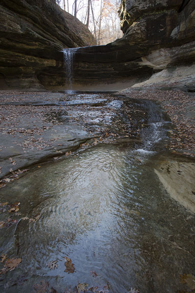 Picture of Starved Rock (United States): LaSalle Canyon with waterfall and stream