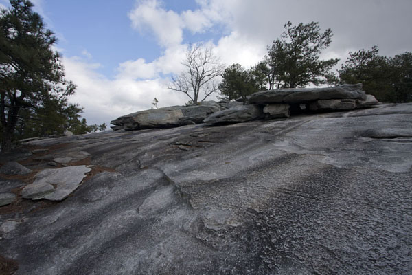 Picture of Quarts monzonite rock and trees on Stone Mountain