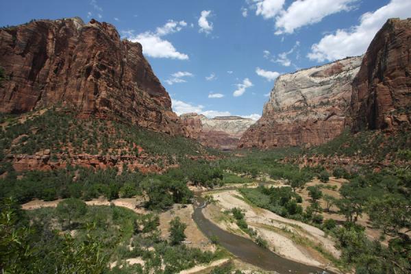 Picture of Zion National Park (United States): Typical view of Zion: Virgin River cutting through a landscape of massice rocky mountains