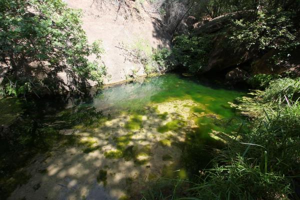 Picture of Crystal clear waters at Middle Emerald Pool