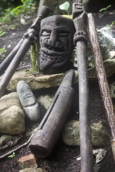 Picture of Lawor cannibal site (Vanuatu): Sticks used to club pigs to death for one of the feasts of the village