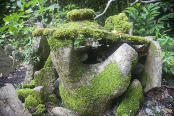 Picture of Lawor cannibal site (Vanuatu): Skull inside one of the graves of the cemetery of Lawor
