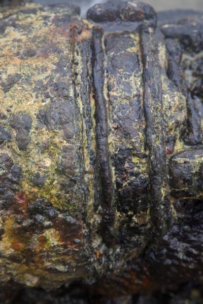 Picture of Million Dollar Point (Vanuatu): Detailed look of one of the many military objects at Million Dollar Point