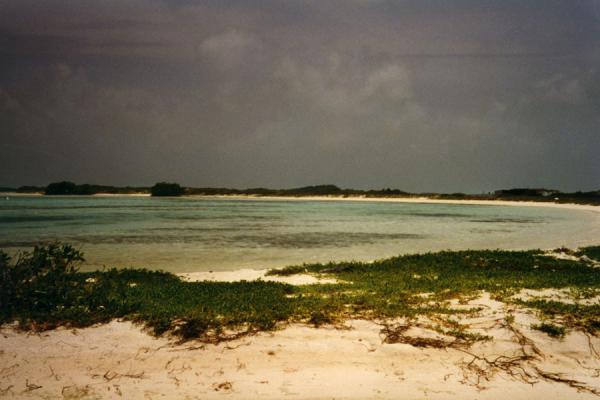 Picture of Los Roques (Venezuela): One of the beaches with clear sea water