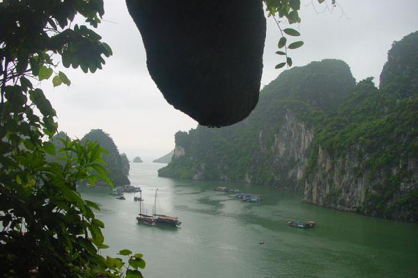 Ships docked in one of the many bays | Bahía de Halong | Vietnam