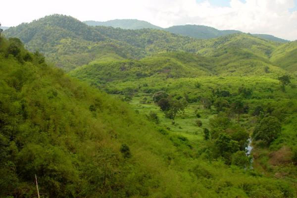 Foto de Abundance of green in the hills of the Central HighlandsLas tierras altas centrales - Vietnam