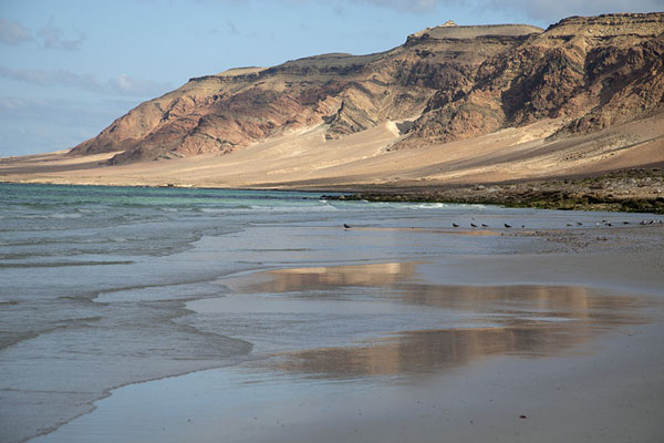Foto van Coastline near the sand dunes of Arher - Jemen - Azië