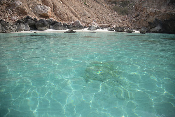 Picture of Turquoise waters on the west coast of SocotraDetwah Lagoon - Yemen
