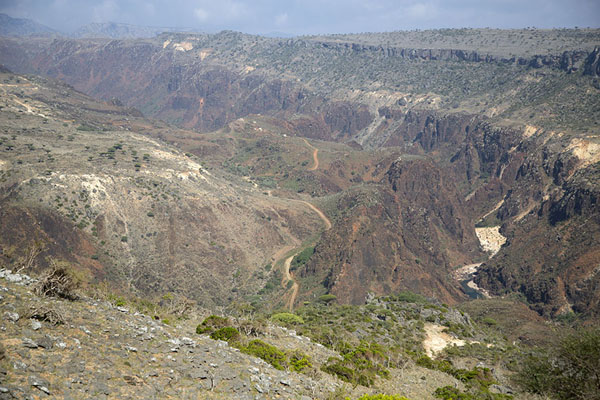 Photo de Canyon in the central part of SocotraDiksam Plateau - Yémen