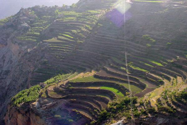 Terrace fields are the only way for agriculture in the Haraz Mountains | Haraz Mountains | Yemen