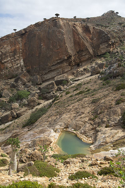 Foto van The infinity pool at the foot of the mountainsHomhil - Jemen