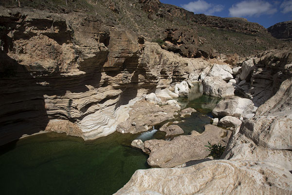 Picture of One of the natural pools of Kallissan - Yemen - Asia