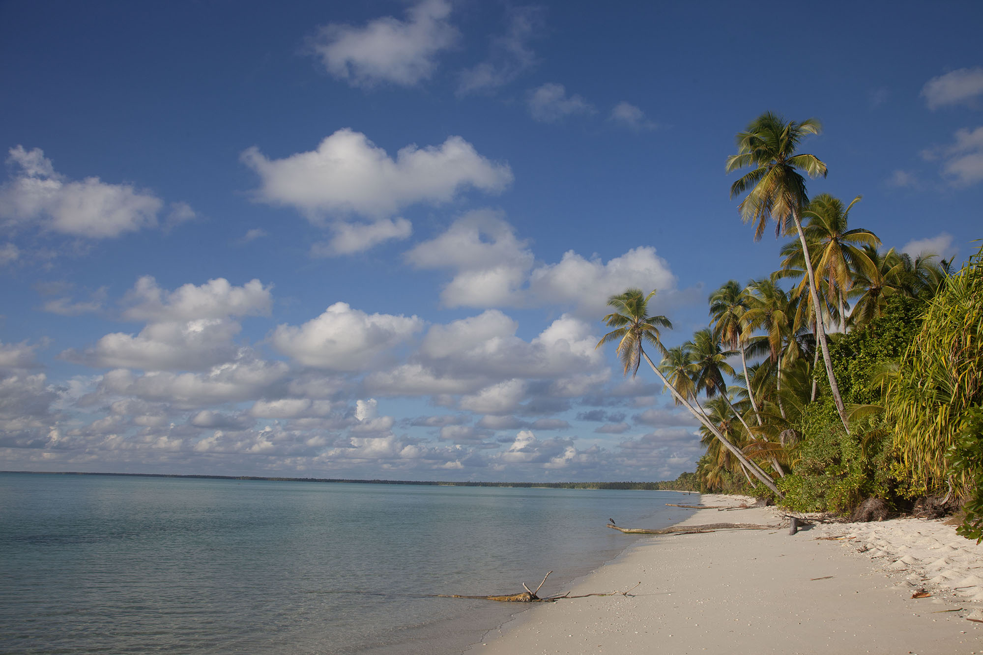 Remote beach, Kiribati