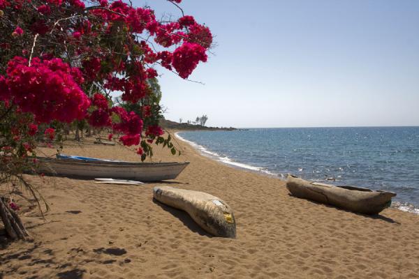 Wonder where this is? Take a surprise trip! Click to travel to a surprise destination
