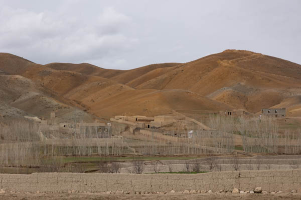 Picture of Bare trees in a valley on the way to JamJam - Afghanistan
