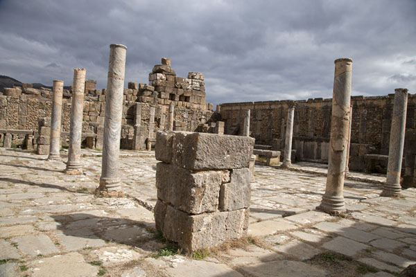 Overview of Cosinius Market | Djemila | Algeria