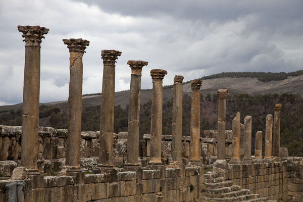 Row of columns at the eastern side of the House of Castorius | Djemila | Algeria