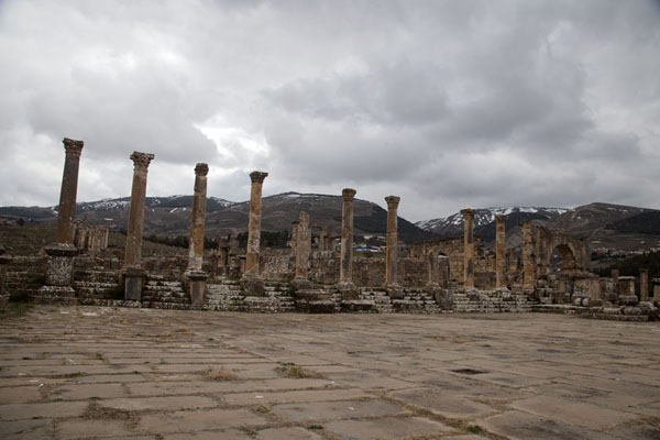 Row of columns at the southern side of the Forum | Djemila | Algeria