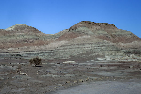 Photo de The barren landscape of the Valley of the MoonParque Ischigualasto - l'Argentine