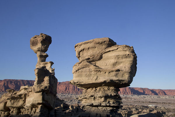 Photo de The Submarine rock formation which crumbled just days before my visitParque Ischigualasto - l'Argentine
