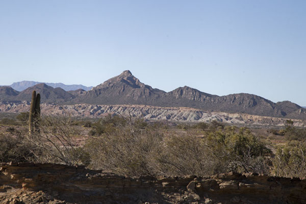 Photo de The landscape of the park with mountains and some small vegetationParque Ischigualasto - l'Argentine