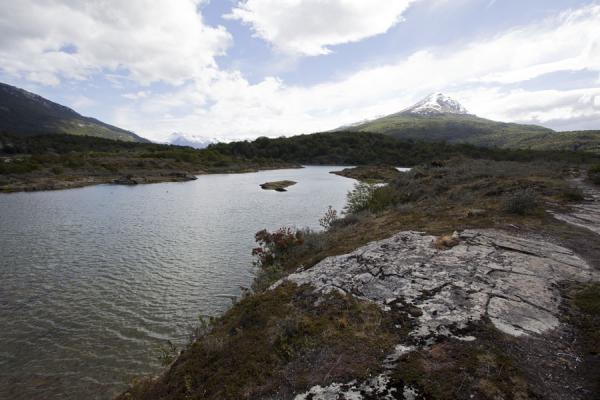 Tierra del Fuego landscape near Bahía Lapataia | Jinja | Uganda
