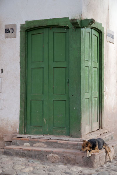 Foto van Dog sleeping at a typical corner door in the village of MolinosValles Calchaquies - ArgentiniÃ«