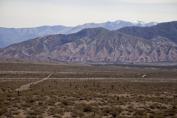 Photo de The Recta del Tin-Tin with candelabra cacti and snow-capped mountains in the backgroundValles Calchaquies - l'Argentine