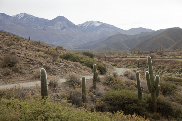Photo de View of the Nevado del CachiValles Calchaquies - l'Argentine