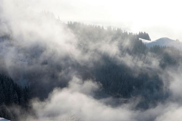 Clouds drifting over the trees on the slopes of St. Johann | St. Johann Skiing | Austria