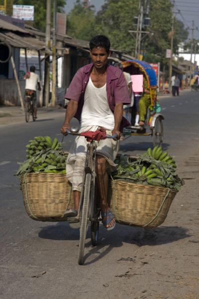 Strong biker with a heavy load of bananas, Bangladesh