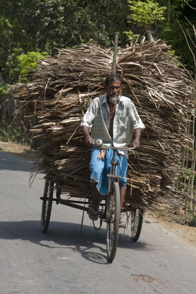 Heavy load of wood on the back of his bike, Bangladesh