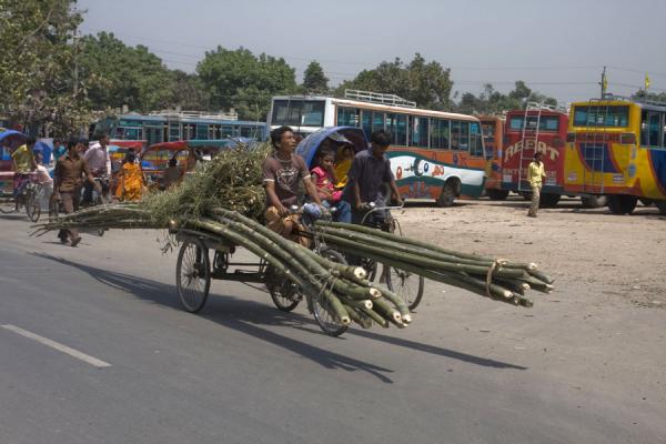 Bamboo can also be transported by bike, no matter how long, Bangladesh