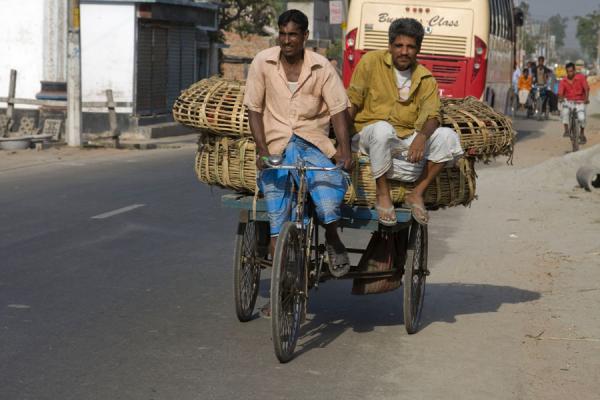 Bangladeshis taking their chicken to the market, Bangladesh