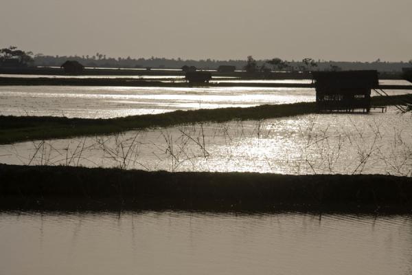 Lines of land dividing the water, Bangladesh