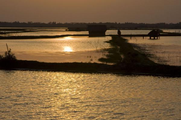 Sun setting over the watery landscape near Khulna, Bangladesh