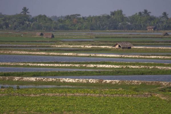 House in a man-made river landscape, Bangladesh