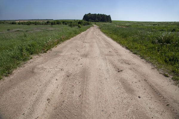 Picture of The dirt road from Mir to the cemetery - Belarus - Europe