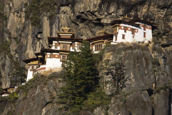Looking at Tiger Nest Monastery from below | Tiger Nest Monastery | Bhutan