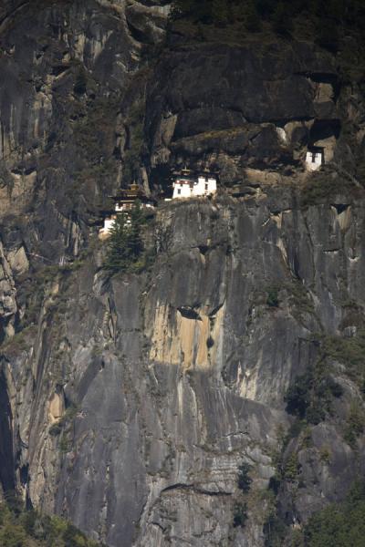 Taktsang, Tiger Nest Monastery, seen from below | Tiger Nest Monastery | Bhutan