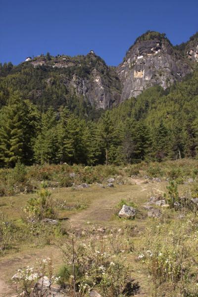 Start of the trail to Tiger Nest Monastery | Tiger Nest Monastery | Bhutan