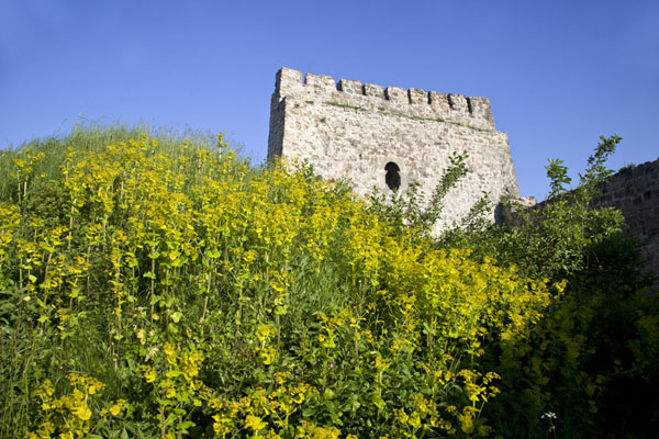 Flowers and tower of the fortress of Jajce | Jajce | Bosnia y Herzegovina