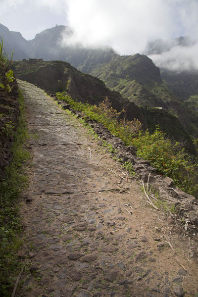 Path leading higher up Chã de Pedra, Cabo Verde
