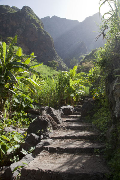 The path leading through the village of Agriões, Cabo Verde
