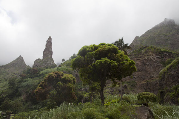 View of the trees and mountains of the Ribeira de Torre, Cabo Verde